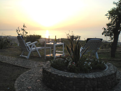 Garden view at sunset